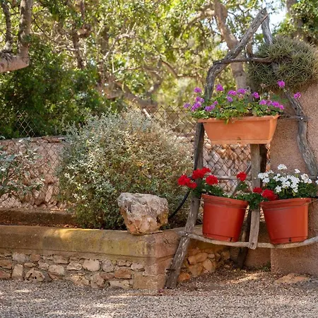 Villa Els Ullastres