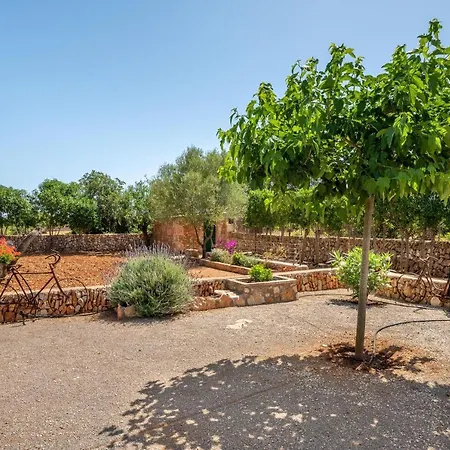 Villa Els Ullastres